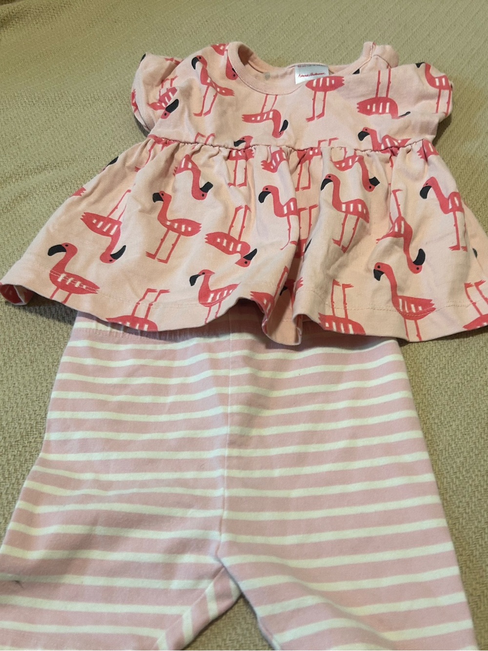 Hanna Andersson Pink Flamingo Print Tee